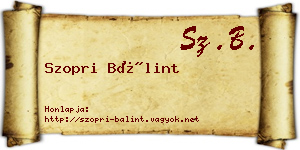 Szopri Bálint névjegykártya